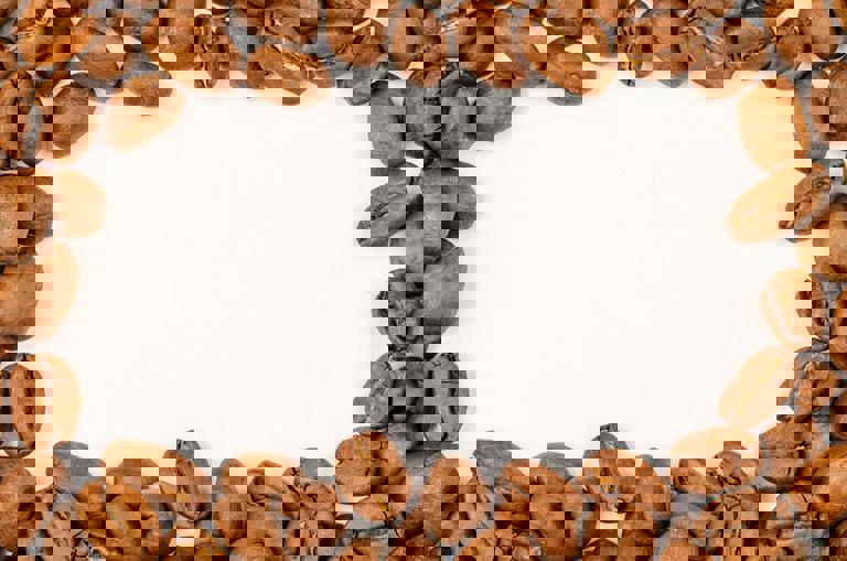 Coffee Roasters Experiment With Wild Foraged Beans for Limited Release